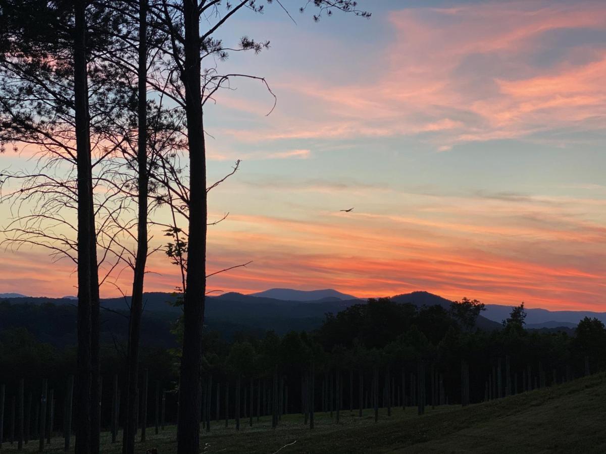 A Suite With A View + Wine Mount Airy Exterior foto